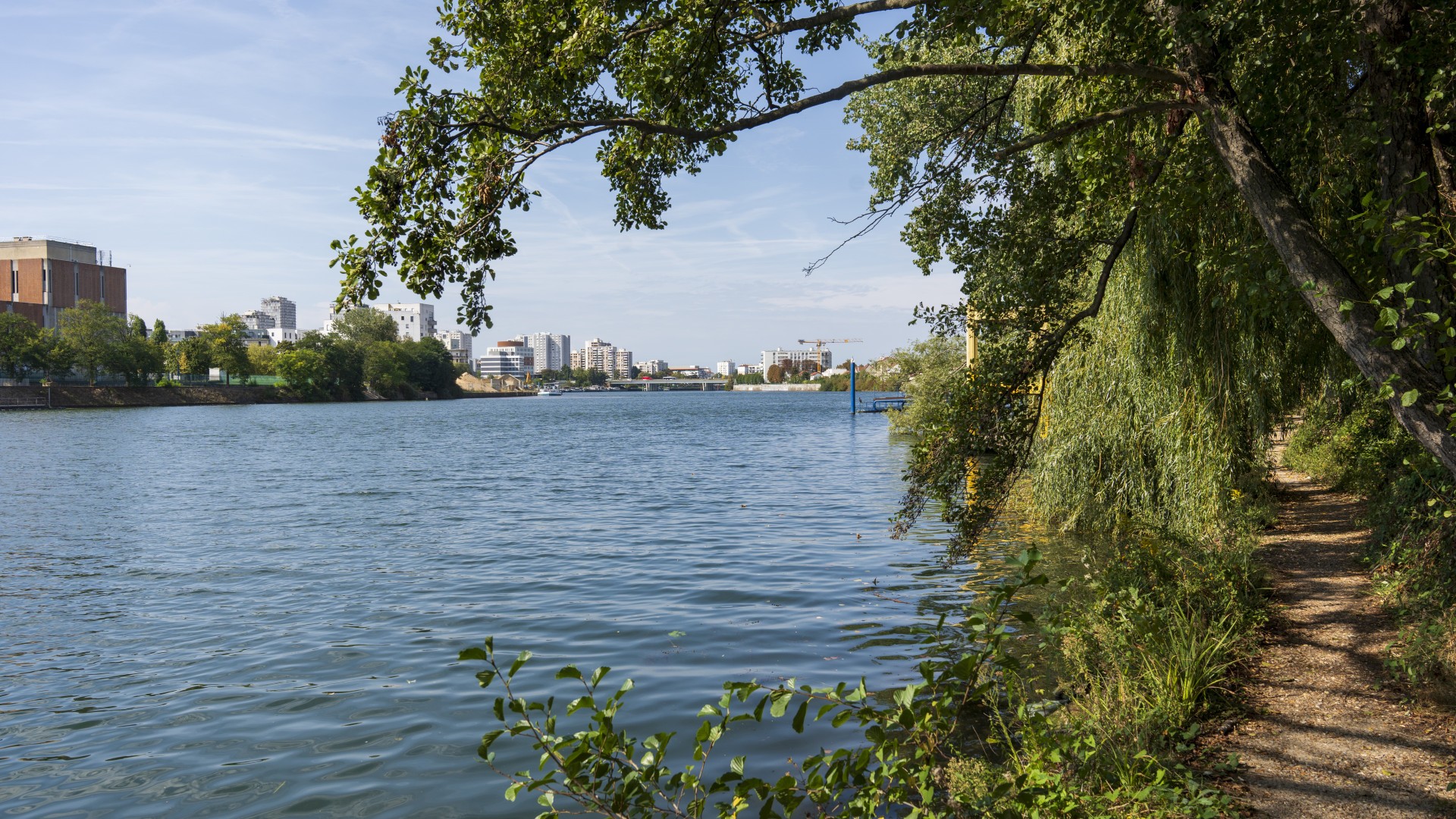 20230911_berges_de_seine_a_choisy-sl2